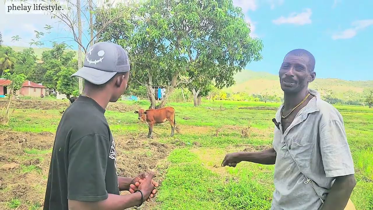WA SEZI WÈ KIJAN YO FÉ ELVAJ BÉF NAN OKAY HAÏTI MEZANMI BÉF YO KONN TOUYE MOUN OH!!