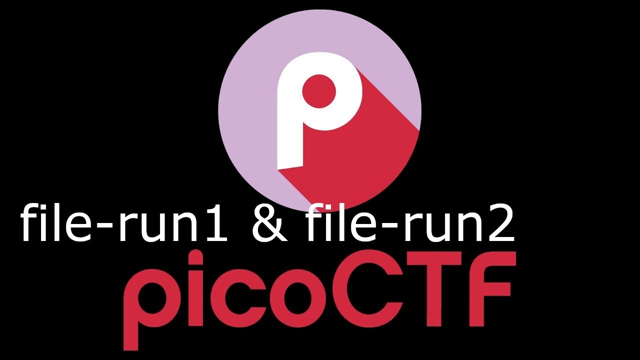 PicoCTF file-run1 & file-run2