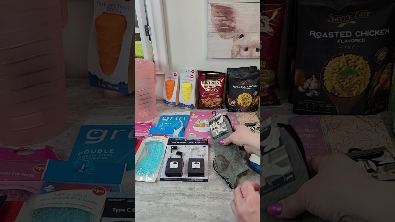 DOLLAR TREE Mini Haul from York, PA!  February 10, 2025