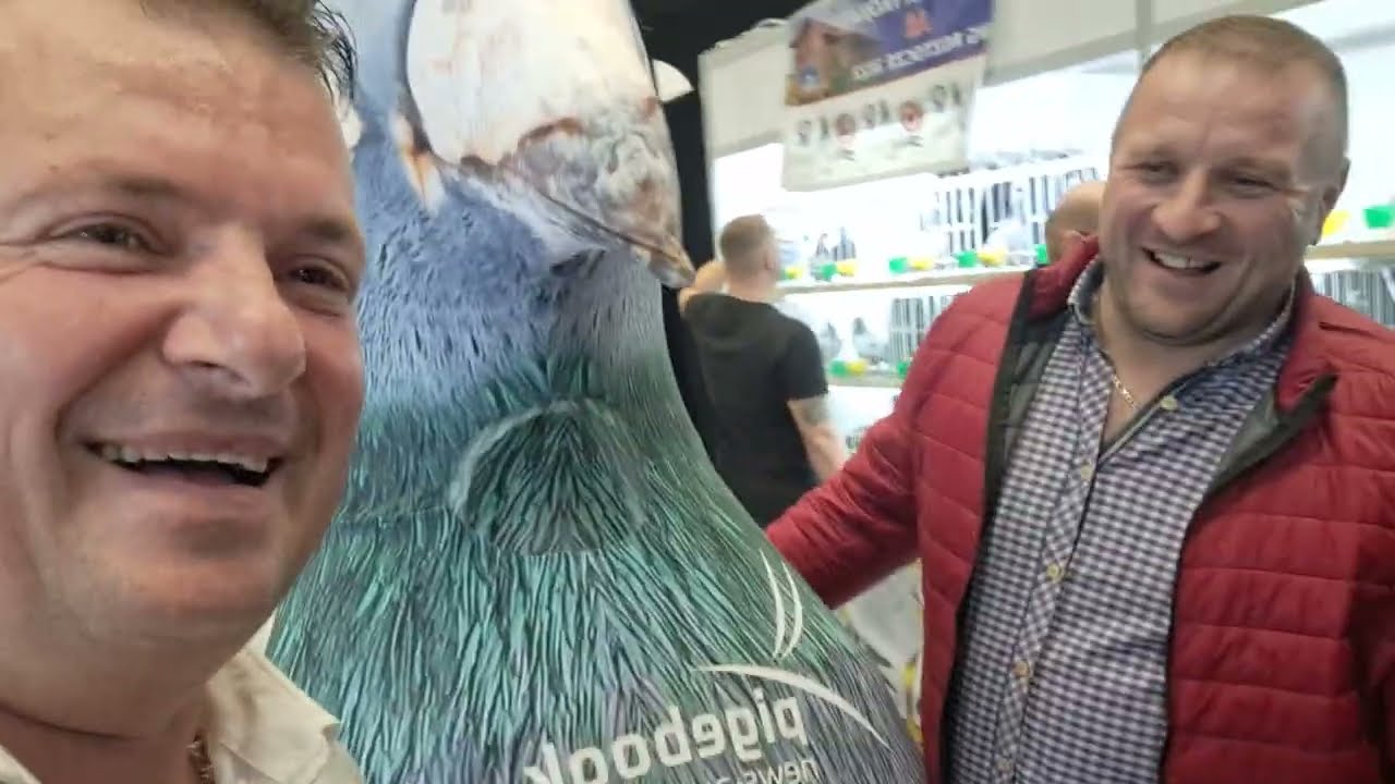EXPO Gołębie sobota dzień 2 cześć 2