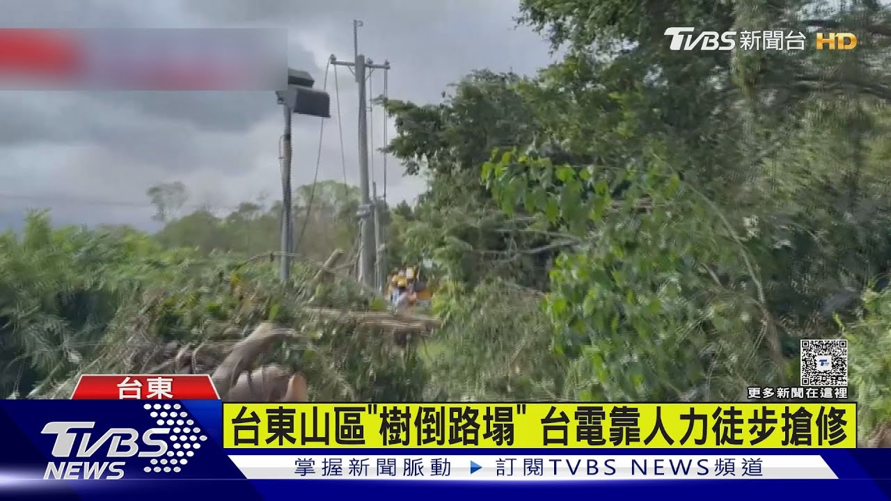 楊柳颳15級風! 台東逾4萬戶停電 盼午夜前復電｜TVBS新聞 @TVBSNEWS01