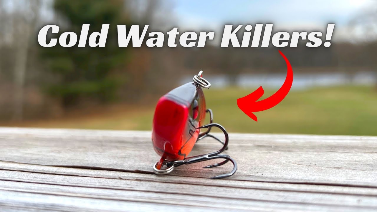 These 5 Killer Fishing Lures Murder Winter Bass!