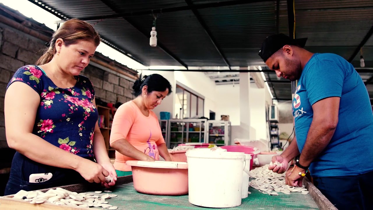 How our Tagua Jewelry is Made