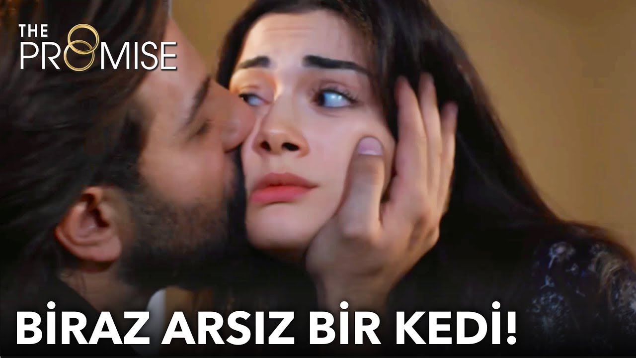 Biraz arsız bir kedi! | Yemin 143. B&ouml;l&uuml;m