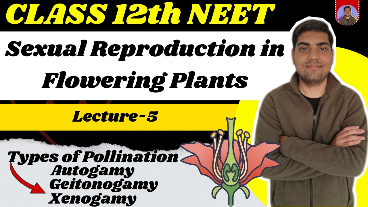 Sexual Reproduction in Flowering Plants | Class 12 | Lecture 5 | Types of Pollination NEET