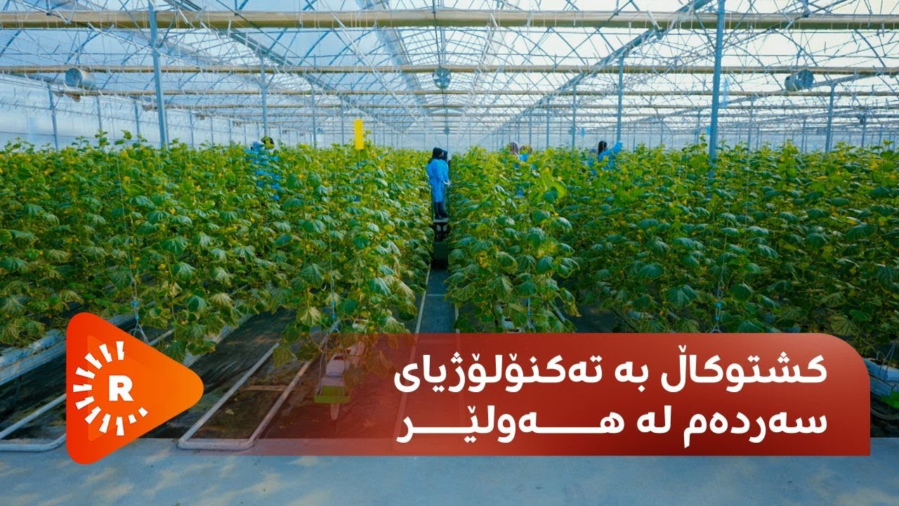 Made In Kurdistan- مەید ئین کوردستان - کشتوکاڵ بە تەکنۆلۆژیای سەردەم لە هەولێر