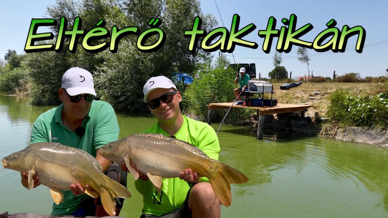 DOVIT METHOD FEEDER - Eltérő Taktikán