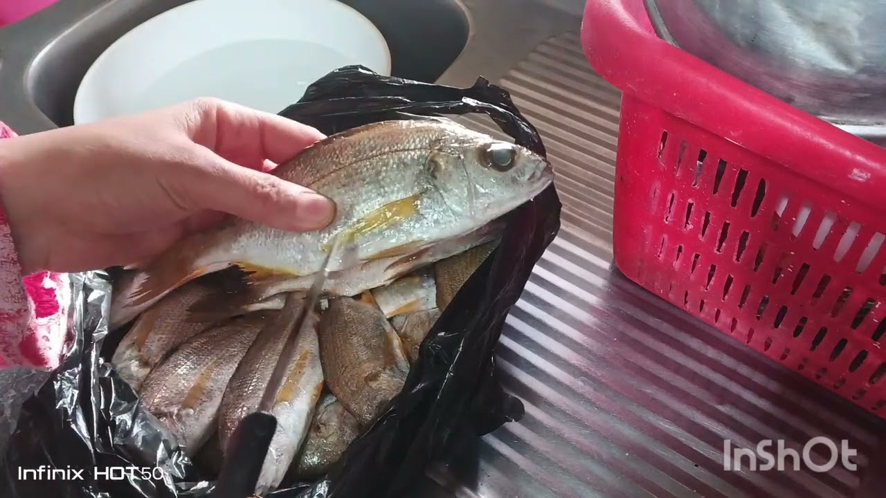 حوجي  راني غيضانة طلقت سمها وراحت😭