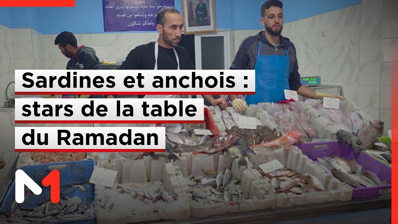 Les « Boquerones », ces anchois marinés qui garnissent les tables du Ramadan à Al Hoceima