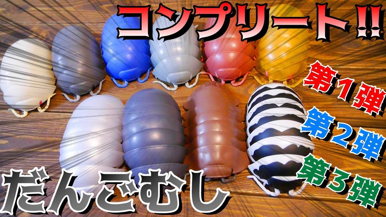 【だんごむしガチャ】見てみて！巨大ダンゴムシコンプリートしたの～！の巻