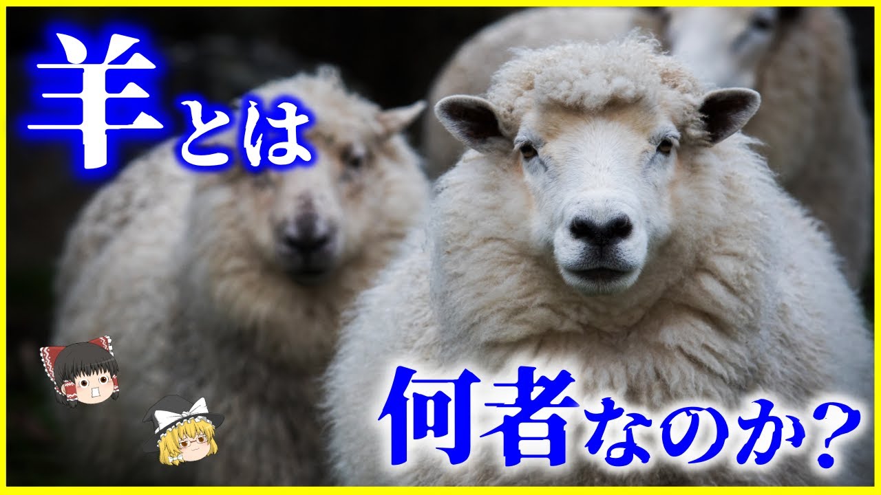 【ゆっくり解説】人類との1万年以上の関係&hellip;「ヒツジ」とは何者なのか？を解説/羊と宗教の関係、羊と日本人、クローン羊ドリー、ヒツジの食文化