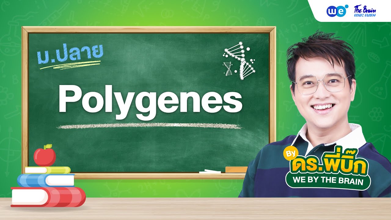 สรุปพันธุศาสตร์ (Polygene) 🔥 by พี่บิ๊ก