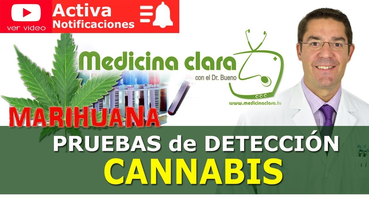 ¿Cuánto dura la marihuana en sangre y orina? | ¿Cómo se detecta? | THC