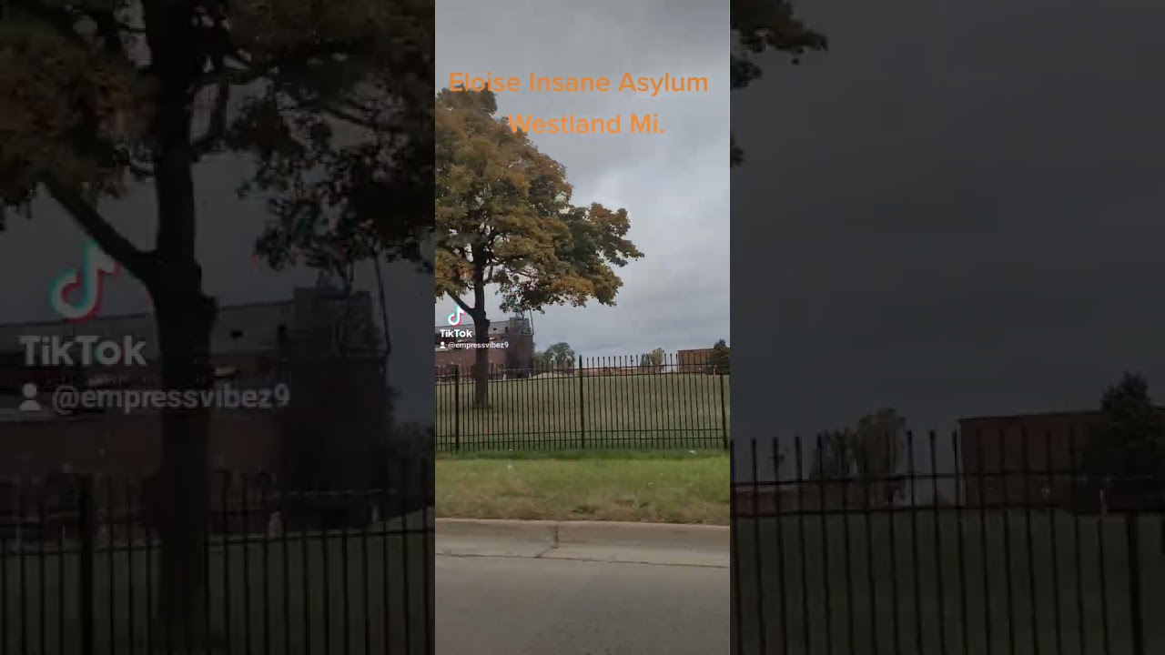 Haunted Eloise insane Asylum in Westland MI