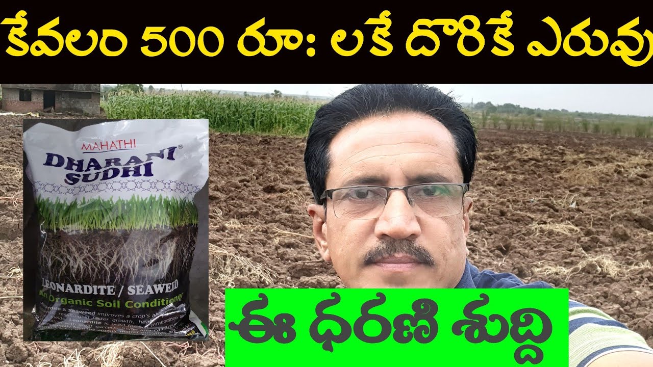Dharani Sudhi | Orgonic Farming | Dharani Sudhi Orgonic Fertilizer | ధరణి శుద్ది.