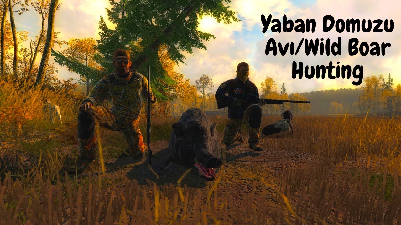 theHunter Classic Yaban Domuzu Avı/Wild Boar Hunting ----Sürülerce Domuz ve Yüksek Skorlu Karaca----