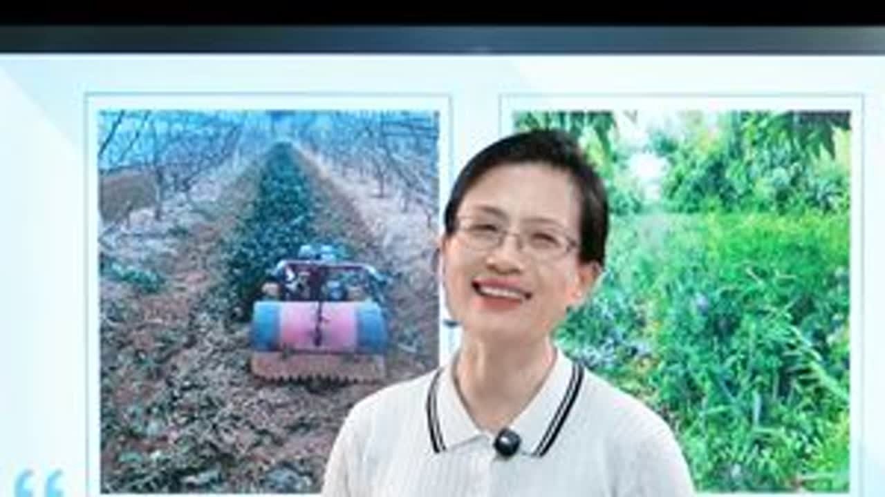 你的土壤有什么问题？ #微生物#分享农业知识帮农民增产增收#支持三农扶持三农发展#毛姐讲土壤#土壤改良