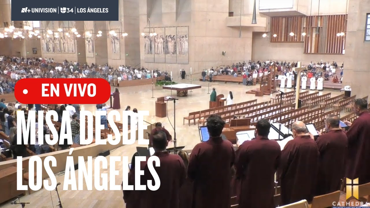 En vivo: Misa desde la Catedral de Los Ángeles