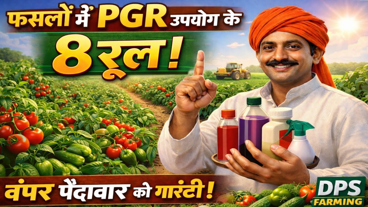 PGR से जितना चाहो उतना उत्पादन! लेकिन ये 8 रूल ज़रूर जान लो |