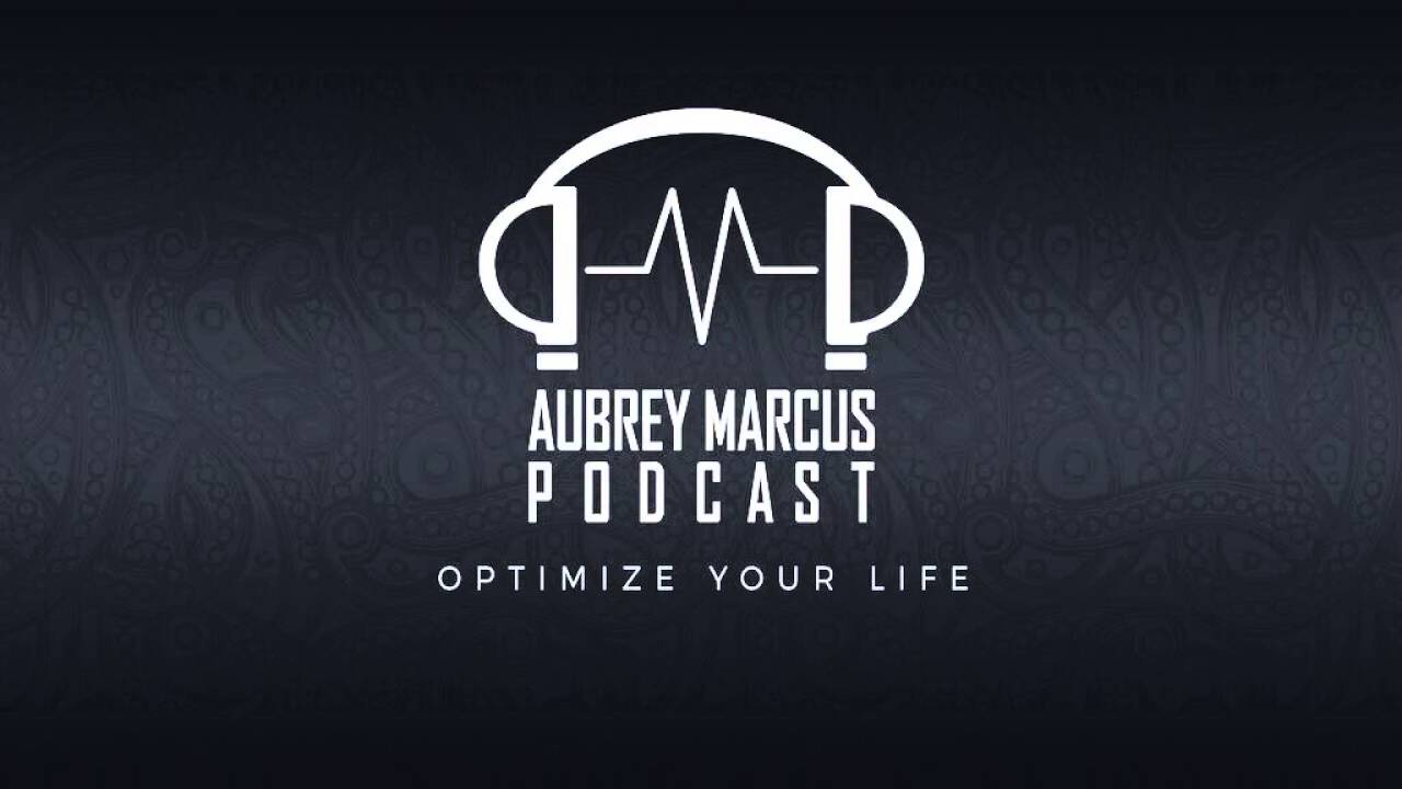 AMP #31 - Talking Spiritquest with Kathy Shubin | Aubrey Marcus Podcast