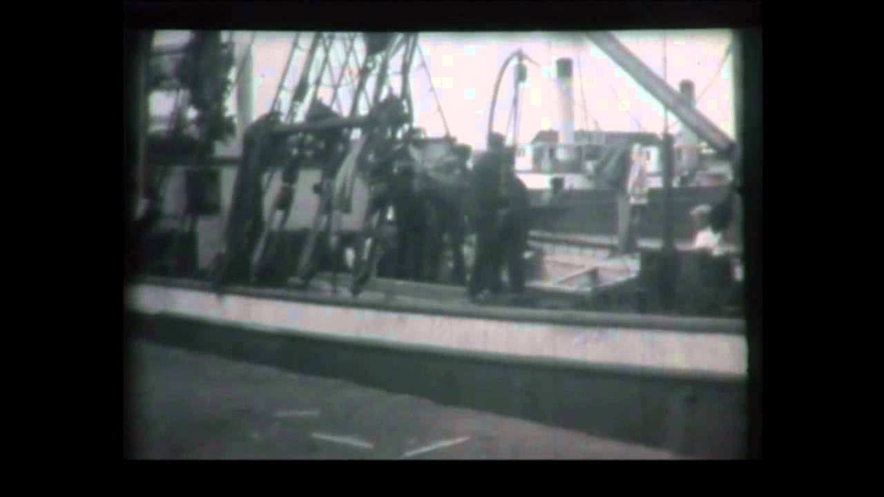The Docks at Exmouth and the Exe Estuary in the 1930s