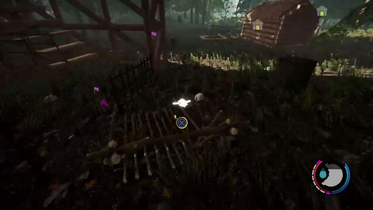 The Forest