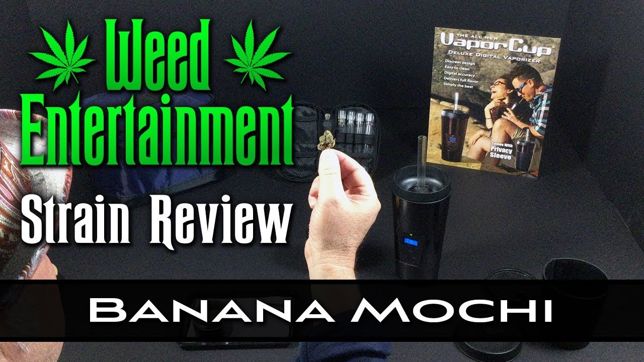 Banana Mochi - Indica Hybrid - by Synergy Cannabis - Strain Review - Dr Greenthumb's, Sylmar, Ca