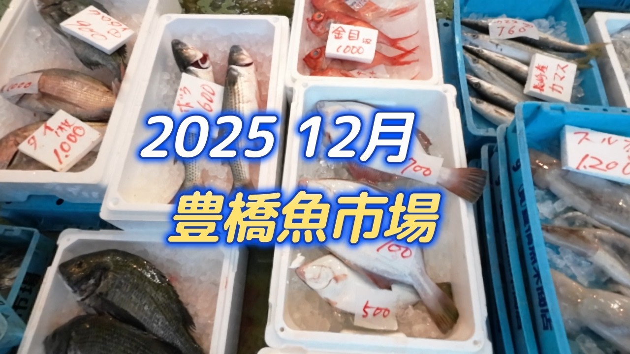豊橋魚市場に行ってきました　12月