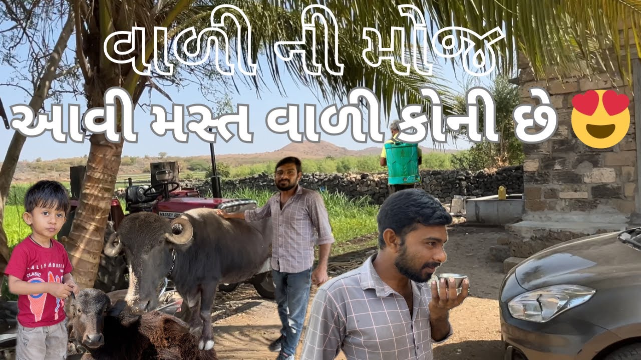 ઈશ્વરીયા ગામ ની વાળી 😍 village life in Gujarat | Shubham vala