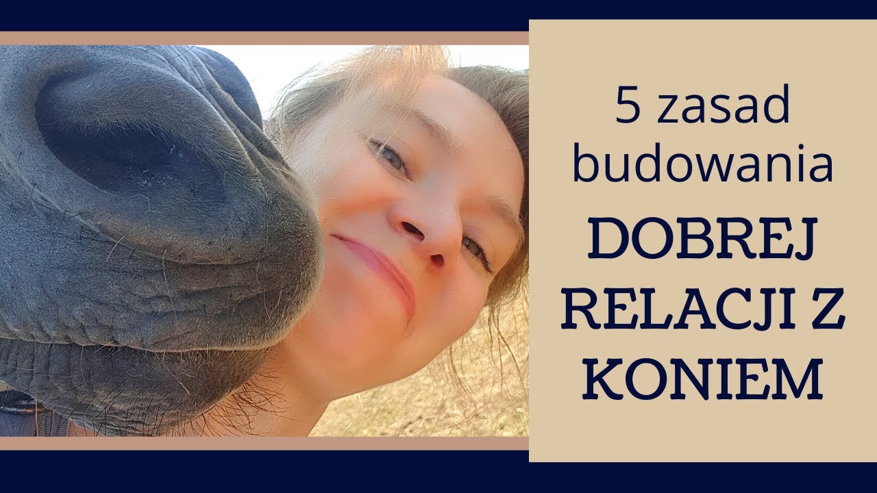 Jak nawiązać dobrą relację z koniem?