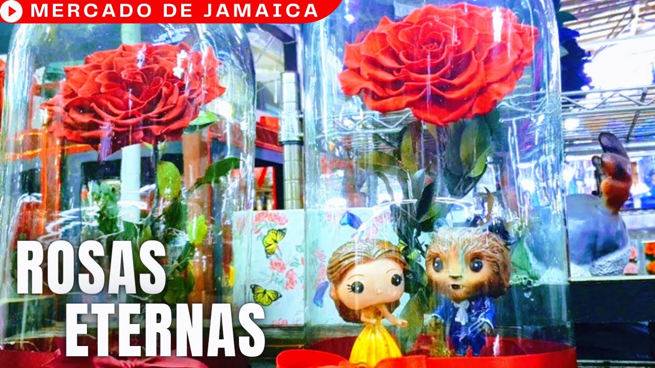 ESTE 14 DE FEBRERO REGALA ROSAS ETERNAS PARA PRESERVAR TU AMOR POR ESA PERSONA TAN ESPECIAL 💐💝😍