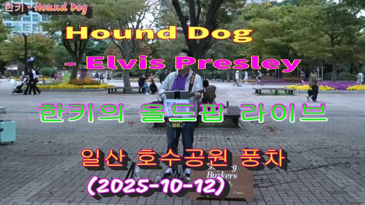 Hound Dog - Elvis Presley, 올드팝 버스킹, 일산 호수공원 풍차 (2025-10-12)