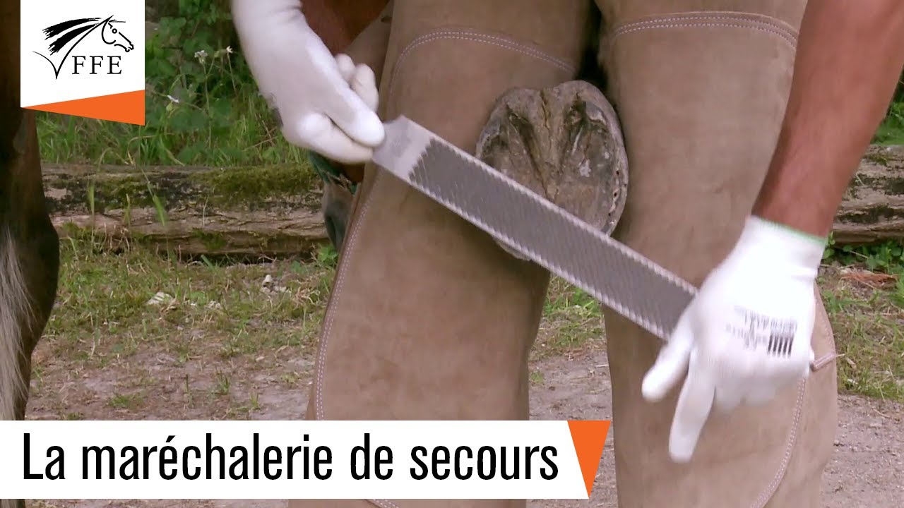 La maréchalerie de secours