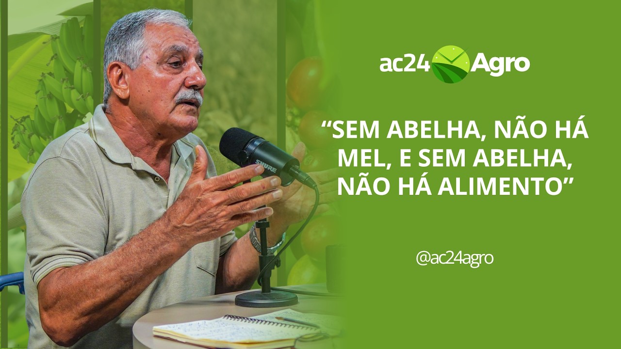 Muito além do mel: pólen ganha destaque na apicultura