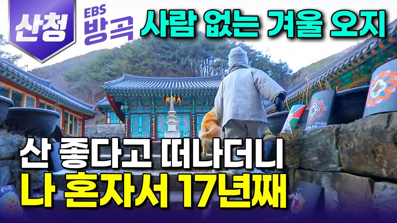 [경남 산청] 겨울 추위 찾아오면 수행하던 스님들도 모두 떠나고 인기척도 사라지는 산골짜기 외딴 암자에 홀로 남아 17년째 고립 산사 지키는 비구니｜문수암｜#한국기행 #방방곡곡