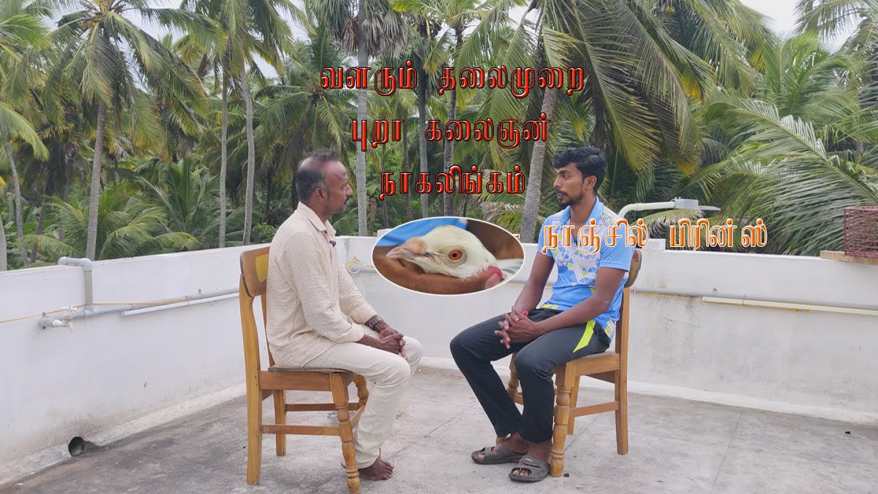 Mr.Nagalingam avargaludan Nanjil Prince - Prince Pigeon World