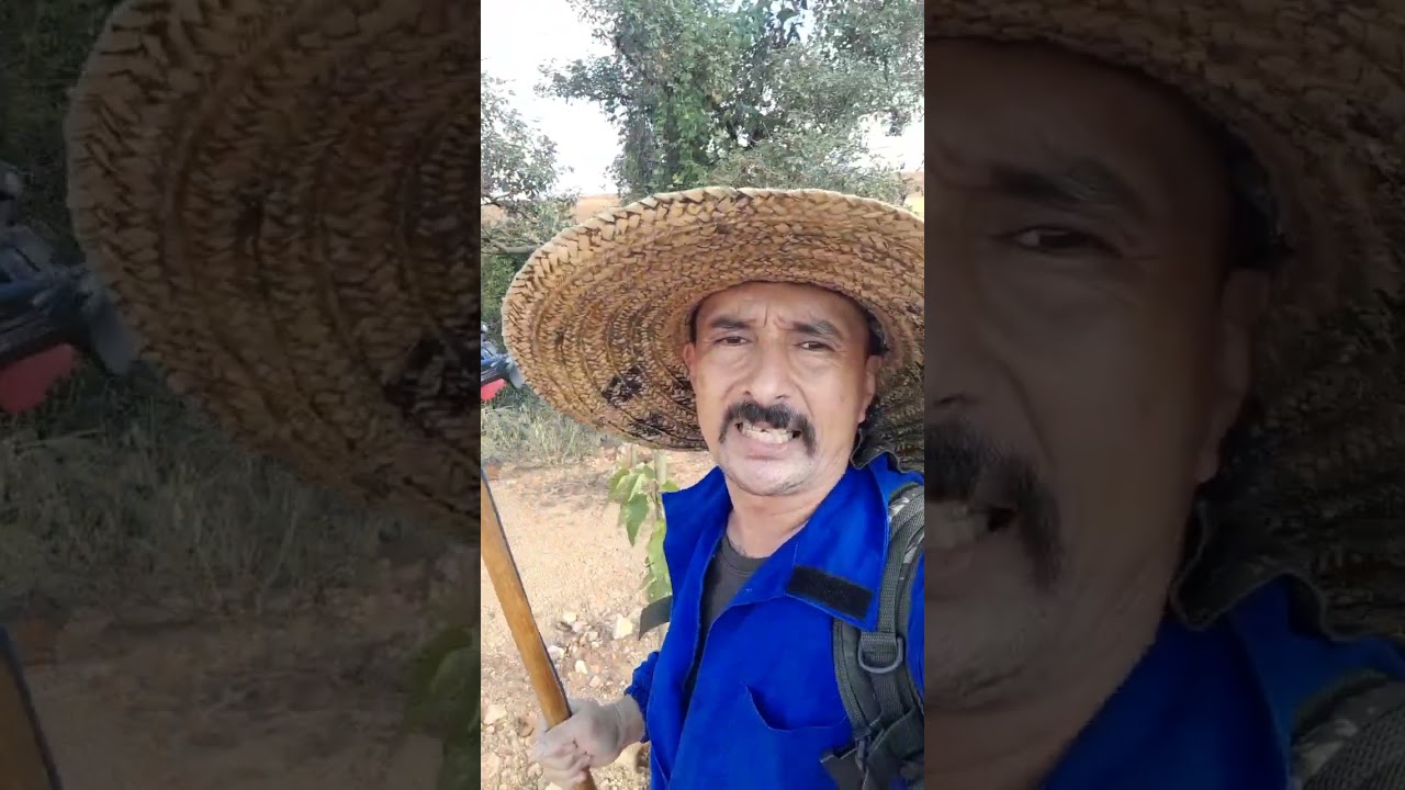 SALVANDO O MUNDO