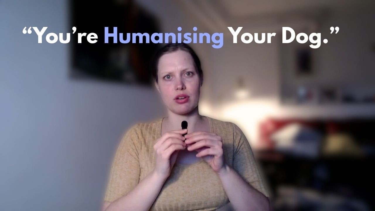 Why Wanting to Understand Your Dog Isn’t Anthropomorphism