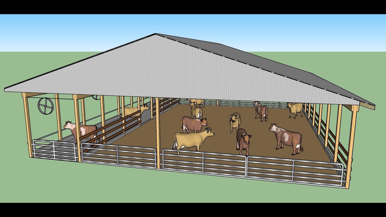 Cow Shed Design 3D Animation