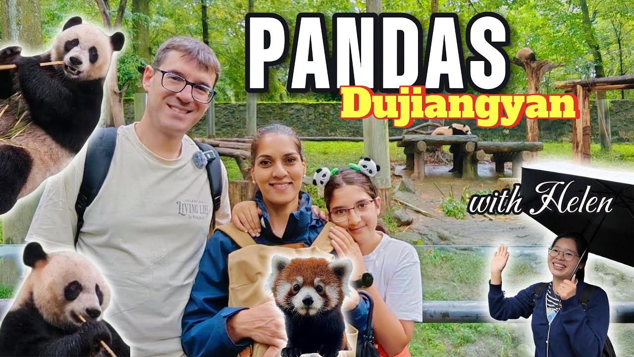 🐼 Познакомьтесь с большими пандами поближе! Полная экскурсия по базе панд Дуцзянъянь | Скрытая же...