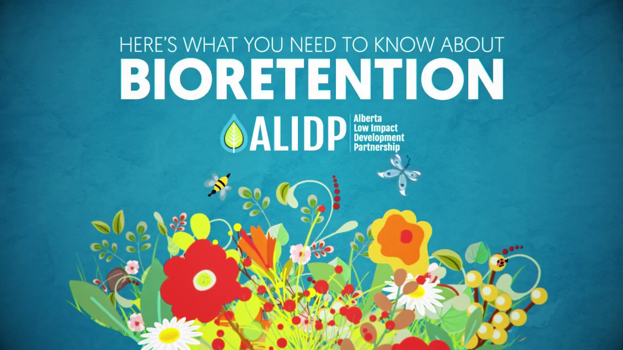 Bioretention Explained in 3 minutes