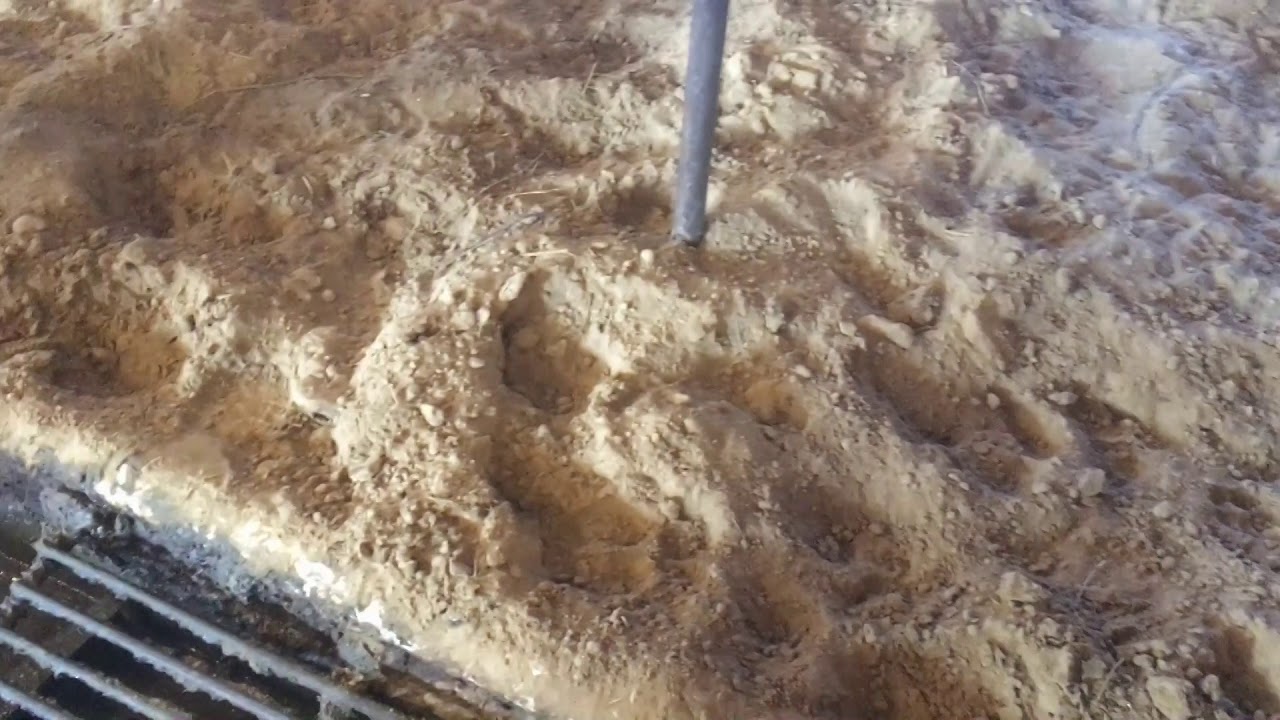Wear on the barn cleaner from sand bedding for dairy cows