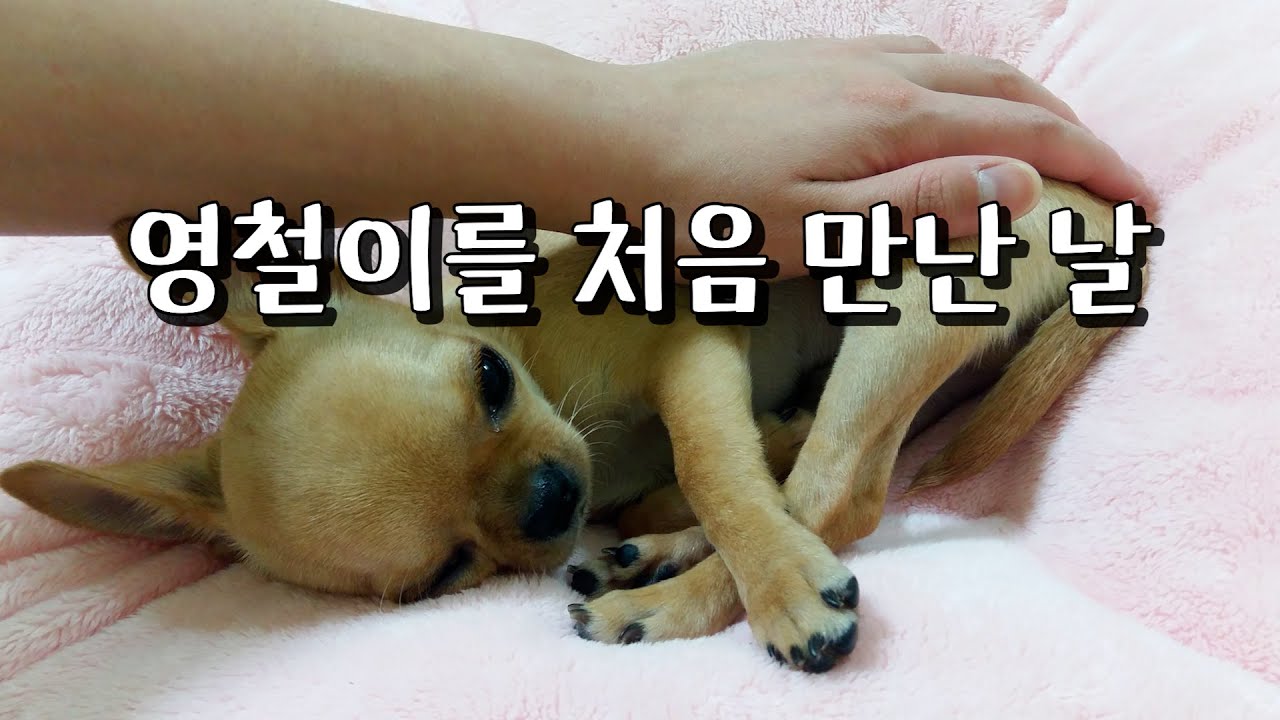 영철이를 처음 만난 날