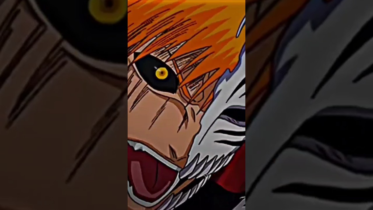 Ichigo Korusaki Vs Other Vizard 