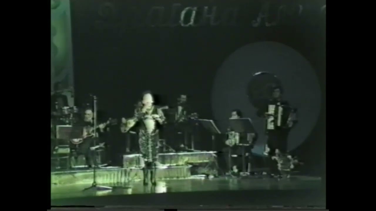 VIDA PAVLOVIC - NEMAM NIKOG DA ME VOLI (SAVA CENTAR 1987 LIVE)