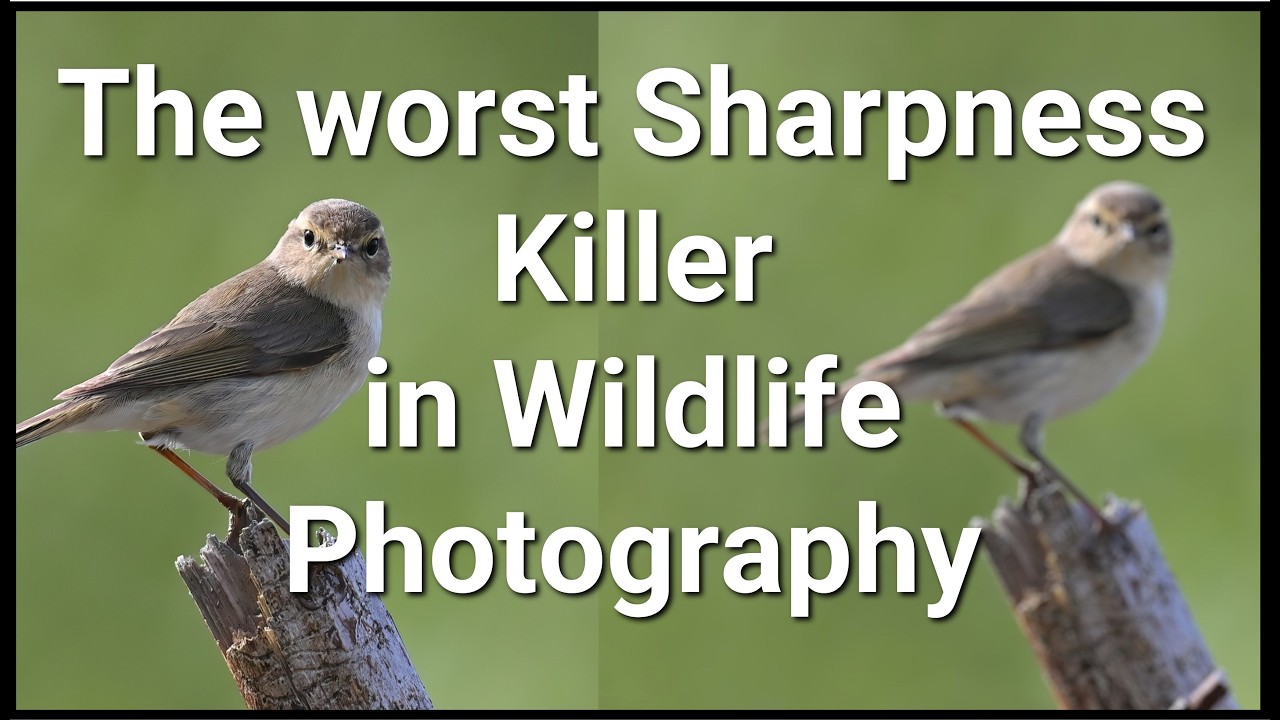 Ваши фотографии размыты ИЗ-ЗА ЭТОГО. И никто об этом не говорит.