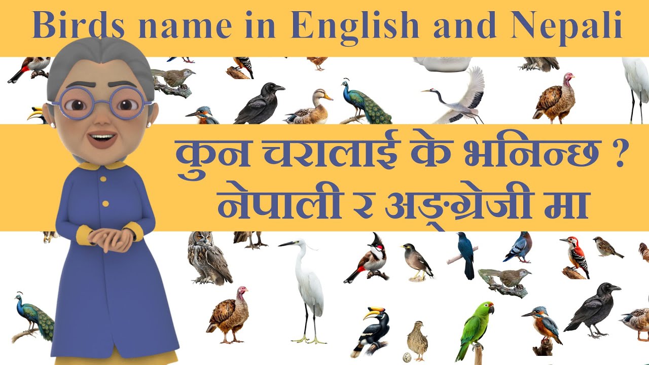 Learn Bird Names in Nepali and English : Fun & Educational | Nepali for kids | Learn Nepali