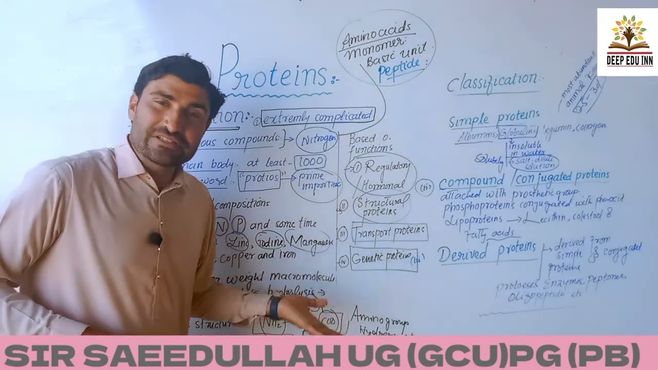 chapter Biomolecules proteins details nmdcat and FSc