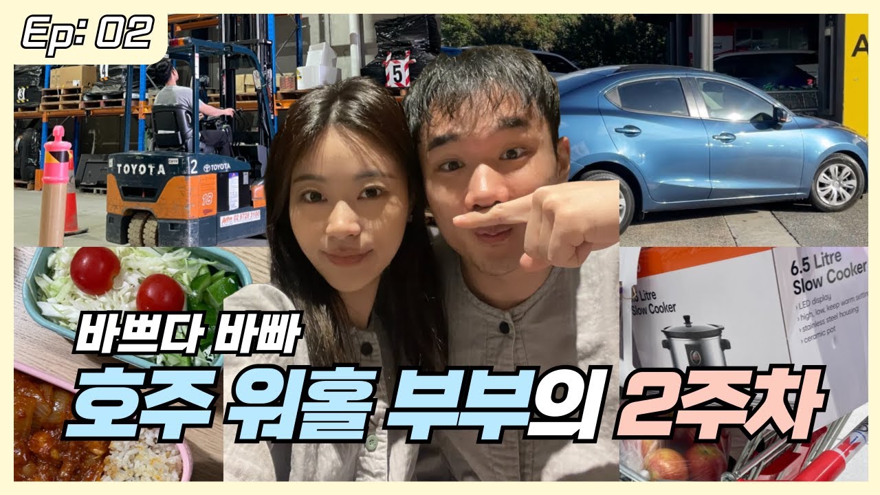 🇦🇺 호주 워홀 부부의 바쁜 한 주… 이래서 차가 필요하군 | 포크리프트 학원 | 중고차 구매 | 헤일리의 투자일기 | 워홀 2화