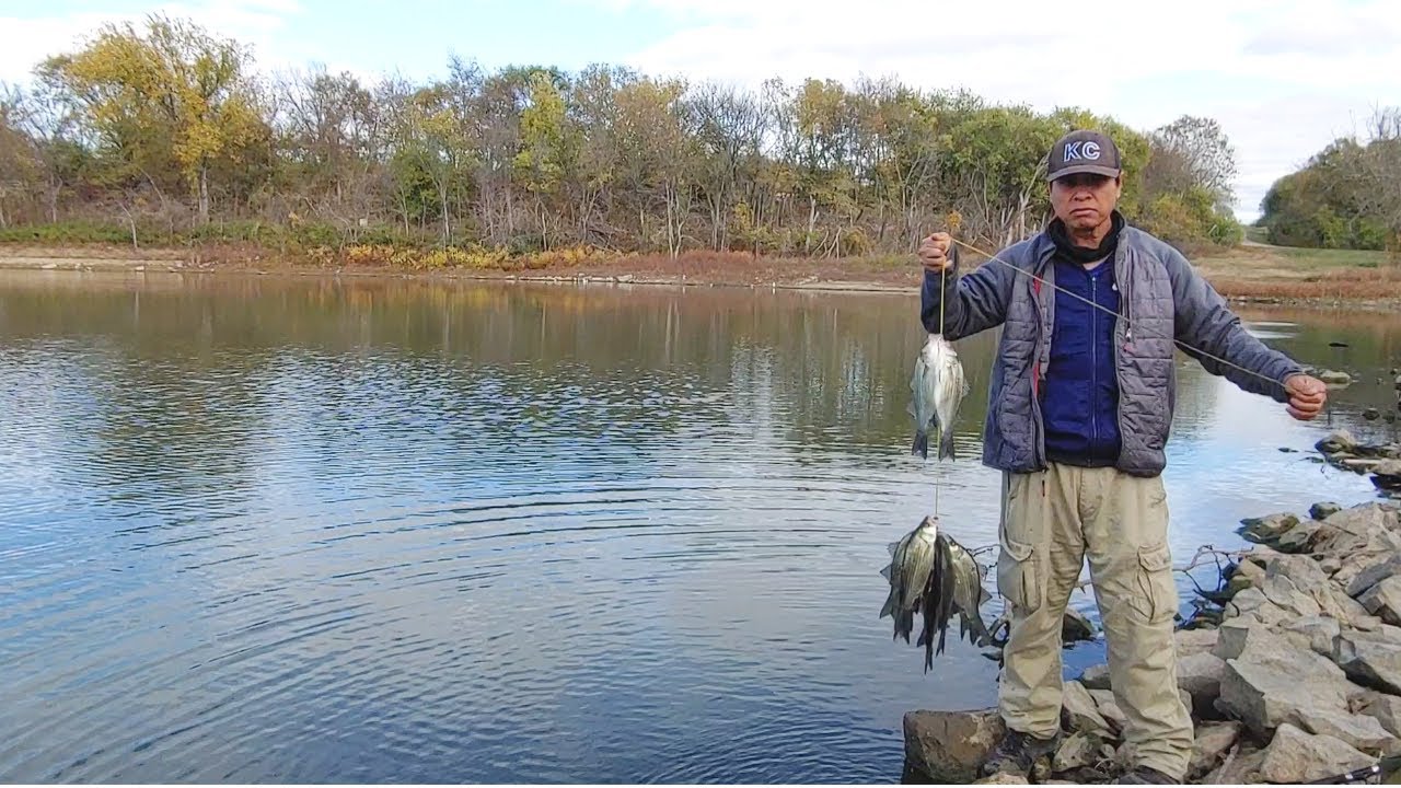 Late Fall White Bass Fishing From The Bank. EP 193